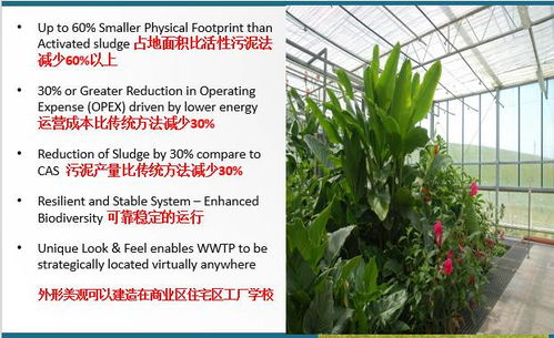 技術(shù)交流 會生長的污水廠——FCR花園式污水處理技術(shù)解析